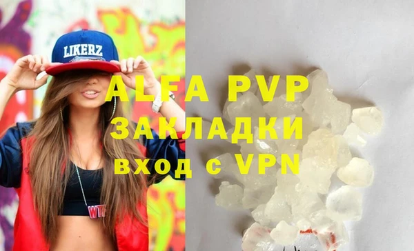 амф Верея