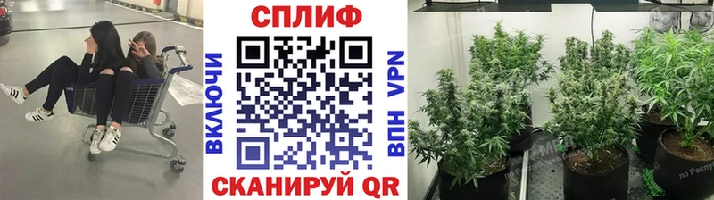 Бошки марихуана индика  где найти наркотики  Юрюзань 